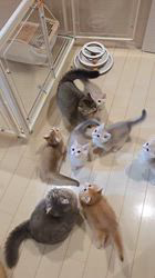 のブログ：ご家族様募集中🏡