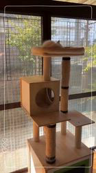 櫻井純子ブリーダーのブログ：本日お迎えシロちゃん❣️