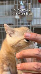 のブログ：ご家族様募集中です