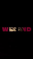 加谷きっこブリーダーのブログ：Thank you♡ ~(=^･ω･^)ﾉ☆Shanty✨