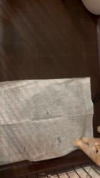 渡部育子ブリーダーのブログ：ブリティッシュゴールデン　子猫 社会化期