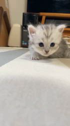 のブログ：レコ♀