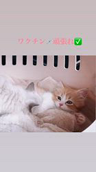 のブログ：待合室🧑‍⚕️ワクチン💉健康診断