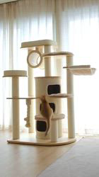 森佑希ブリーダーのブログ：人とペットが豊かな暮らし