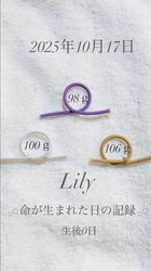 小熊加寿美ブリーダーのブログ：「 誕生から巣立ちまで、リリィちゃんの物語 ‎𓂃第二話 ‎‪‪𓂃長女編 🕊️‎◌𓈒𓐍