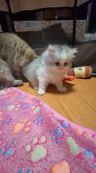 のブログ：お兄ちゃん達と遊んで、楽しいな〜