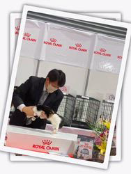 善家薫ブリーダーのブログ：🐱わんにゃんドーム2026🏆