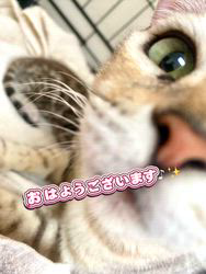 のブログ：出産ラッシュ！🐾3人のお母さん🎀出産しました♪✨✨✨