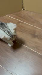 のブログ：可愛くて可愛くて😻