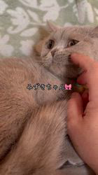 のブログ：みずき