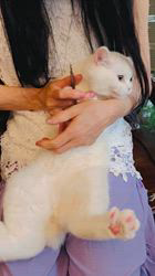 のブログ：素敵なご家族様が決まりました♡幸せになってね♡