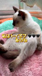 のブログ：日曜日はリラックス