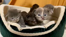 のブログ：5兄妹❣️