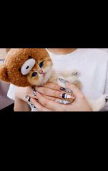 赤石加奈子ブリーダーのブログ：テディベアキャット🍯🧸