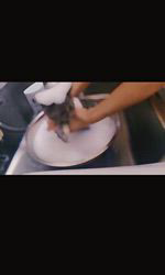 赤石加奈子ブリーダーのブログ：シャンプー