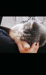 赤石加奈子ブリーダーのブログ：ラガマフィン