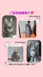 行岡理恵ブリーダーのブログ：元気いっぱいの2人❣️ご家族様募集中です！