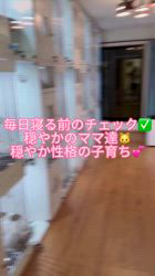 西則ウノブリーダーのブログ：日本最大規模のラグドール専門キャッテリー🎀
