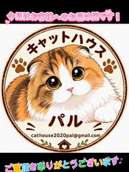 のブログ：子猫ちゃんのお引越し