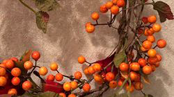 元録美香ブリーダーのブログ：今日は何の日⁉️