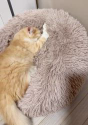 のブログ：毎日恒例😸